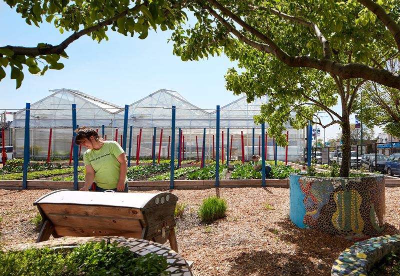 Farm on Ogden receives AIA Illinois Honor Award for Greatest Impact
