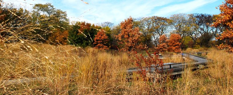 Burnham Nature Sanctuary