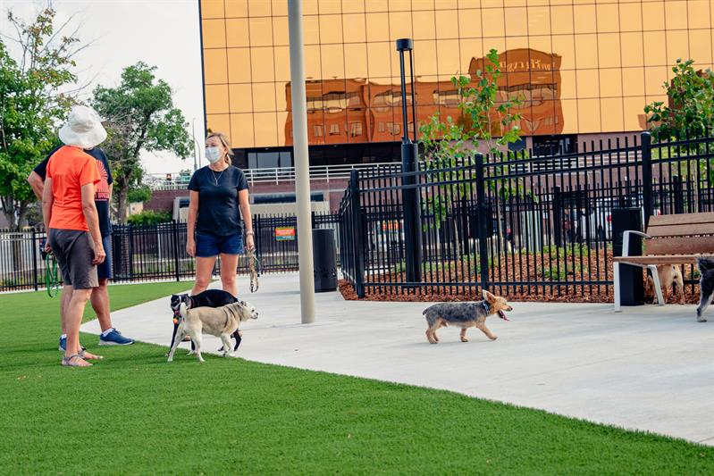 19143 Kirby Dog Park-7.jpg