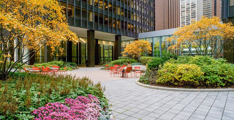 233 North Michigan Avenue Plaza Renovation