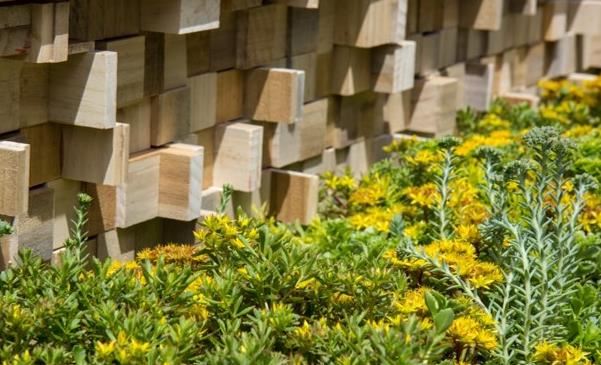 Parklet Texture