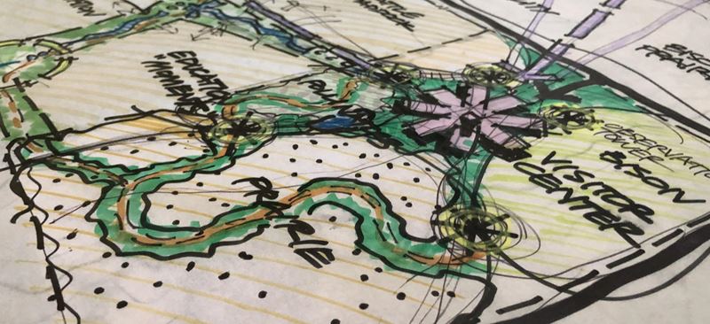 Hand Drawn Sketch - Confluence - What We Do