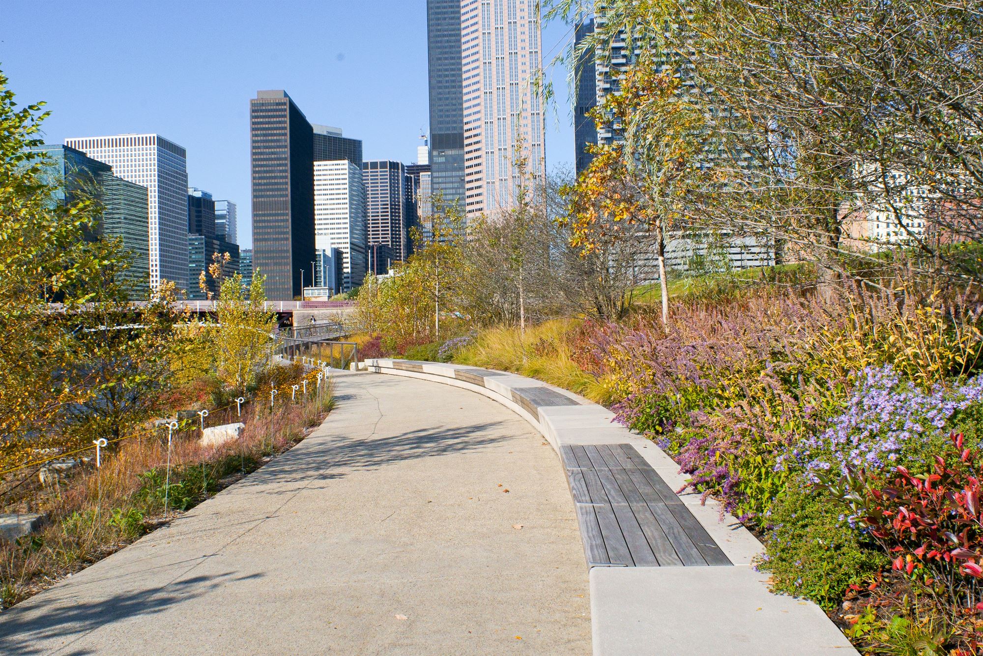 Rapid Development in Chicago's South Loop