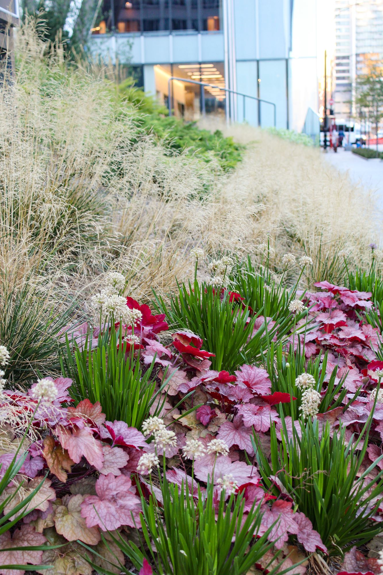 Planting Design